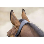 Covalliero Halfter SS26 Dunkle Navy Covalliero Halfter SS26 Dunkle Navy