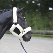 Covalliero Halfter SuperSoft Navy Covalliero Halfter SuperSoft Navy