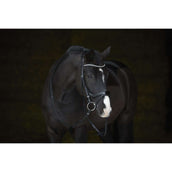 Kieffer Zaum Amy Shine Schwarz Kieffer Zaum Amy Shine Schwarz