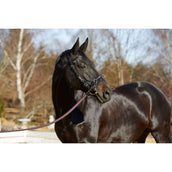 Kieffer Kapzaum Utrasoft Schwarz Kieffer Kapzaum Utrasoft Schwarz