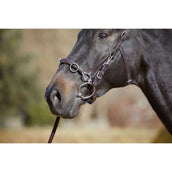 Kieffer Kapzaum Utrasoft Schwarz Kieffer Kapzaum Utrasoft Schwarz