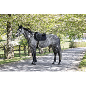 Kingsland Schabracke KLLucca Cooling Springen Navy Kingsland Schabracke KLLucca Cooling Springen Navy