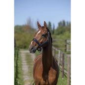 Kingsland Halfterset KLLucca Navy Kingsland Halfterset KLLucca Navy