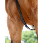 LeMieux Brustgeschirr Kudos Bridge Schwarz LeMieux Brustgeschirr Kudos Bridge Schwarz