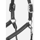 LeMieux Lederhalfter Crystal Schwarz LeMieux Lederhalfter Crystal Schwarz