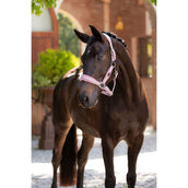 LeMieux Halfter Versailles Blossom LeMieux Halfter Versailles Blossom