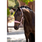 LeMieux Halfter Versailles Blossom LeMieux Halfter Versailles Blossom