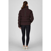 Pikeur Jack Quilted Athleisure AW26 Schokoladen Braun Pikeur Jack Quilted Athleisure AW26 Schokoladen Braun