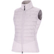 Stein
