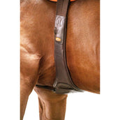 Schockemöhle Sattelgurt Portland Espresso/Silber Schockemöhle Sattelgurt Portland Espresso/Silber