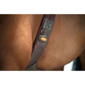 Schockemöhle Sattelgurt Oklahoma Espresso/Silber Schockemöhle Sattelgurt Oklahoma Espresso/Silber