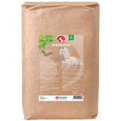 Sectolin Brennnessel Sectolin Brennnessel