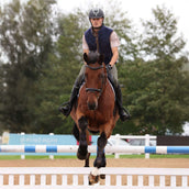 Aubrion by Shires Weste Original Fleece Herren Navy Aubrion by Shires Weste Original Fleece Herren Navy