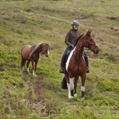 Aubrion by Shires Pullover Heritage Fleece Dunkelolive Aubrion by Shires Pullover Heritage Fleece Dunkelolive