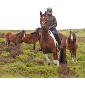 Aubrion by Shires Pullover Heritage Fleece Dunkelolive Aubrion by Shires Pullover Heritage Fleece Dunkelolive