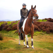 Aubrion by Shires Weste Heritage Fleece Dunkelolive Aubrion by Shires Weste Heritage Fleece Dunkelolive