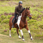Aubrion by Shires Pullover Heritage Dunkelolive Aubrion by Shires Pullover Heritage Dunkelolive