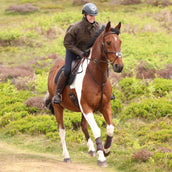 Aubrion by Shires Pullover Heritage Dunkelolive Aubrion by Shires Pullover Heritage Dunkelolive