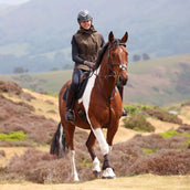 Aubrion by Shires Weste Heritage Dunkelolive Aubrion by Shires Weste Heritage Dunkelolive