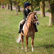 Aubrion by Shires Turnierjacket Saratoga Kinder Dunkel Grün Check Aubrion by Shires Turnierjacket Saratoga Kinder Dunkel Grün Check
