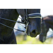 Trust Kandarenstange Sweet Iron Weymouth Fixed low Port 16mm Trust Kandarenstange Sweet Iron Weymouth Fixed low Port 16mm