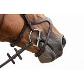 Trust Kandare Gebiss Sweet Iron Dee Brass Ring 16mm Trust Kandare Gebiss Sweet Iron Dee Brass Ring 16mm