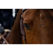 Trust Blinker Braun Trust Blinker Braun