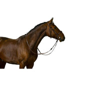 Trust Zaum Amsterdam Braun/Silber Trust Zaum Amsterdam Braun/Silber