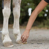 Unique-horn Hoof Wax Repair Gelb Unique-horn Hoof Wax Repair Gelb