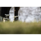 Veredus Streichkappen Carbon Gel Absolute Save the Sheep Rear Braun Veredus Streichkappen Carbon Gel Absolute Save the Sheep Rear Braun