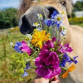 Vitalstyle Wiesenblumen Vitalstyle Wiesenblumen