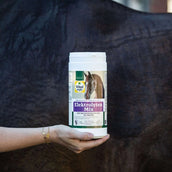 Vitalstyle Elektrolyten Mix Pferd Vitalstyle Elektrolyten Mix Pferd