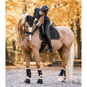 Waldhausen Fliegenhaube Modern Schwarz/Roségold Waldhausen Fliegenhaube Modern Schwarz/Roségold