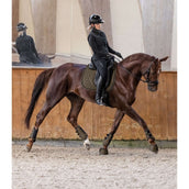 Waldhausen Schabracke Philadelphia Dressur Grün/Braun Waldhausen Schabracke Philadelphia Dressur Grün/Braun