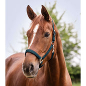 Waldhausen Halfter Perlon Satin Petrol Blue Waldhausen Halfter Perlon Satin Petrol Blue