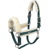 Waldhausen Halfter Soft Tannengrün Waldhausen Halfter Soft Tannengrün