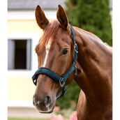 Waldhausen Halfter Soft Touch Petrol Blue Waldhausen Halfter Soft Touch Petrol Blue