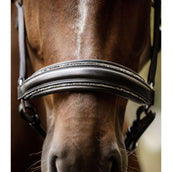 Waldhausen Halfter S-Line Glamour Schwarz Waldhausen Halfter S-Line Glamour Schwarz