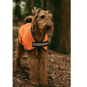WeatherBeeta Dog Coat Reflektierend Parka 300D Orange WeatherBeeta Dog Coat Reflektierend Parka 300D Orange