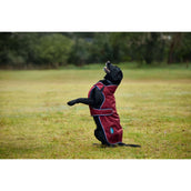 WeatherBeeta Hundedecke ComFiTec Premier Deluxe Waterproof Burgund/Navy WeatherBeeta Hundedecke ComFiTec Premier Deluxe Waterproof Burgund/Navy
