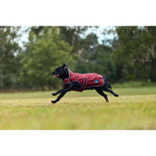 WeatherBeeta Hundedecke ComFiTec Premier Deluxe Waterproof Burgund/Navy WeatherBeeta Hundedecke ComFiTec Premier Deluxe Waterproof Burgund/Navy