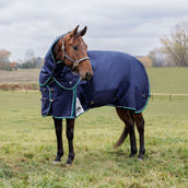 WeatherBeeta ComFiTec Plus Dynamic Turnout Detach-A-Neck 360g Navy/Forest Green WeatherBeeta ComFiTec Plus Dynamic Turnout Detach-A-Neck 360g Navy/Forest Green