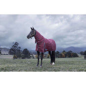 WeatherBeeta ComFiTec Essential Turnout Detach-A-Neck 220g Burgund/Navy WeatherBeeta ComFiTec Essential Turnout Detach-A-Neck 220g Burgund/Navy