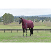 WeatherBeeta ComFiTec Essential Turnout Detach-A-Neck 220g Burgund/Navy WeatherBeeta ComFiTec Essential Turnout Detach-A-Neck 220g Burgund/Navy