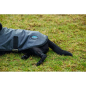 WeatherBeeta Hundedecke ComFiTec Classic Waterproof Kohle WeatherBeeta Hundedecke ComFiTec Classic Waterproof Kohle
