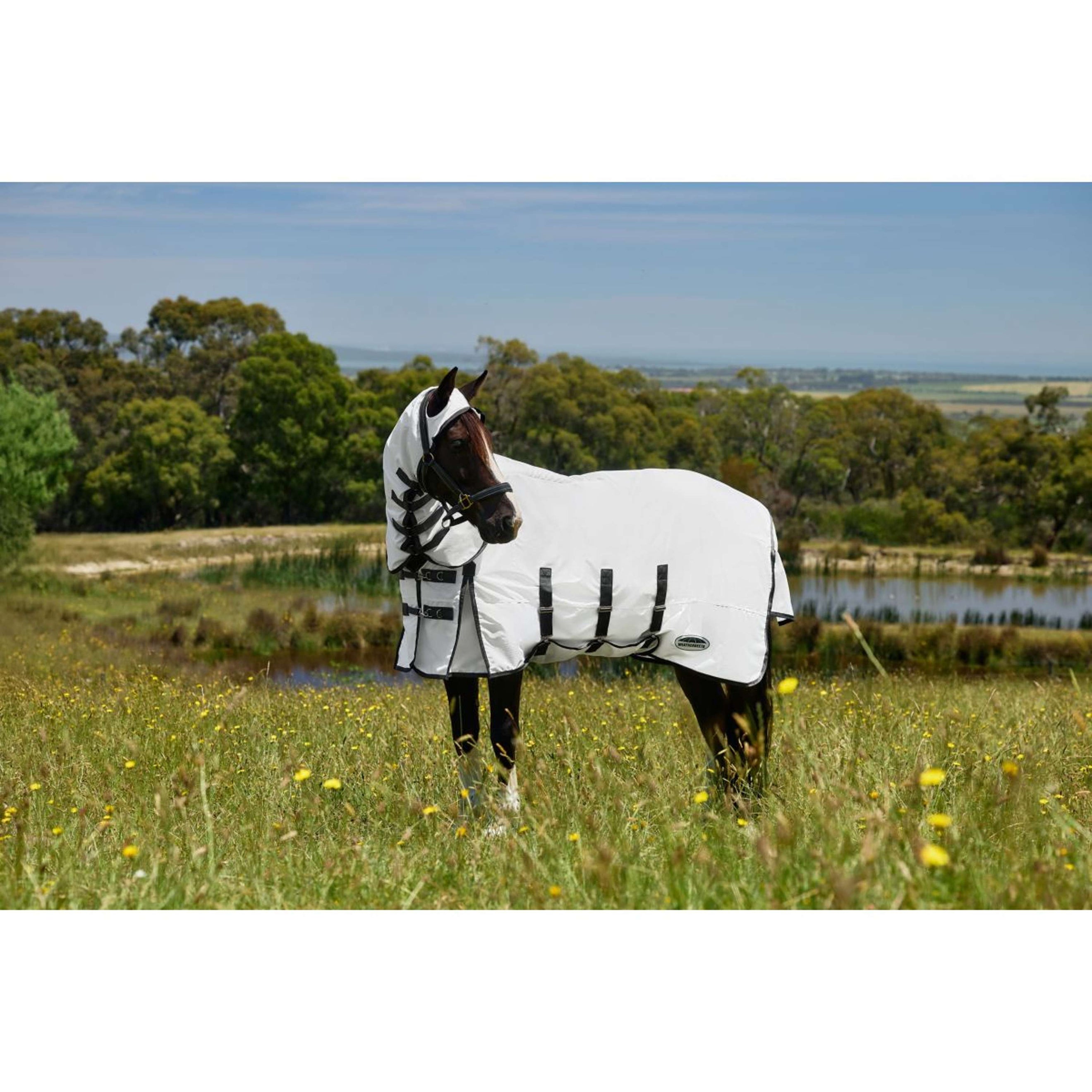 WeatherBeeta Ekzemerdecke ComFiTec Sweet Itch Combo Weiß/Charcoal WeatherBeeta Ekzemerdecke ComFiTec Sweet Itch Combo Weiß/Charcoal