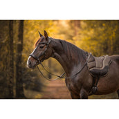 F.R.A. Gebisslose Trense Moonlight Schwarz F.R.A. Gebisslose Trense Moonlight Schwarz