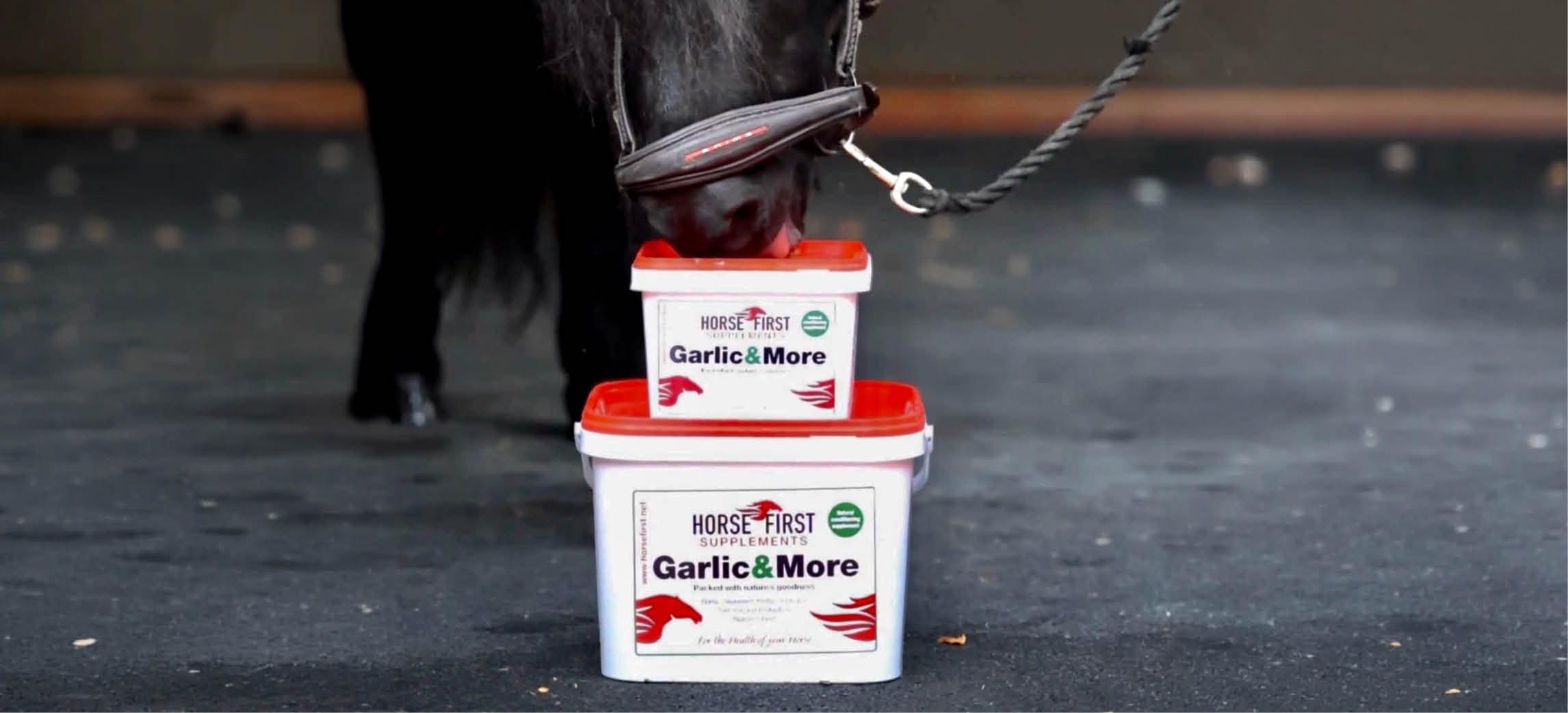Ihr Pferd auf den Herbst vorbereiten: der Saisonratgeber von Horse First