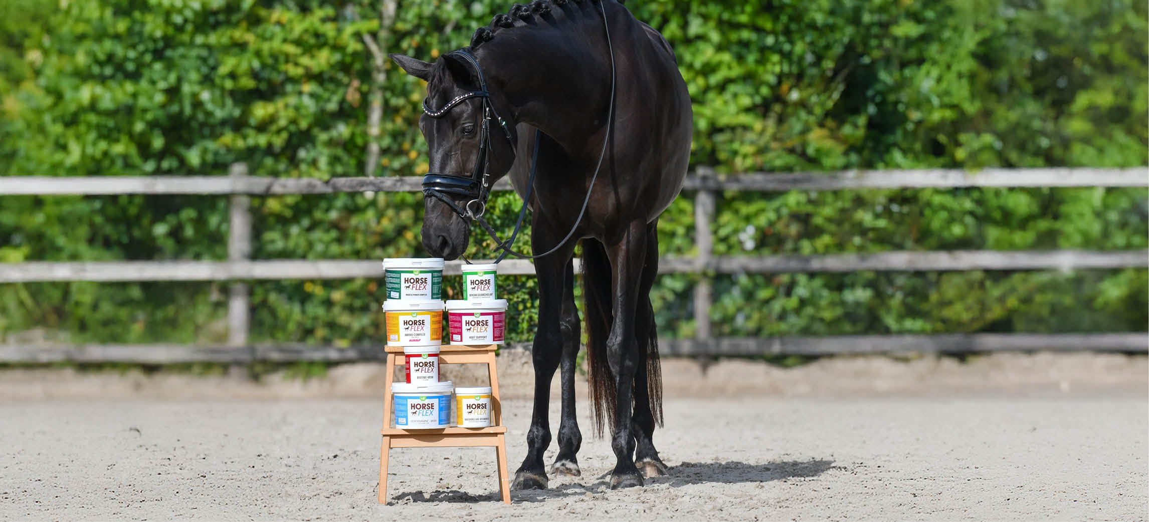 HorseFlex: Alles über Nahrungsergänzungsmittel