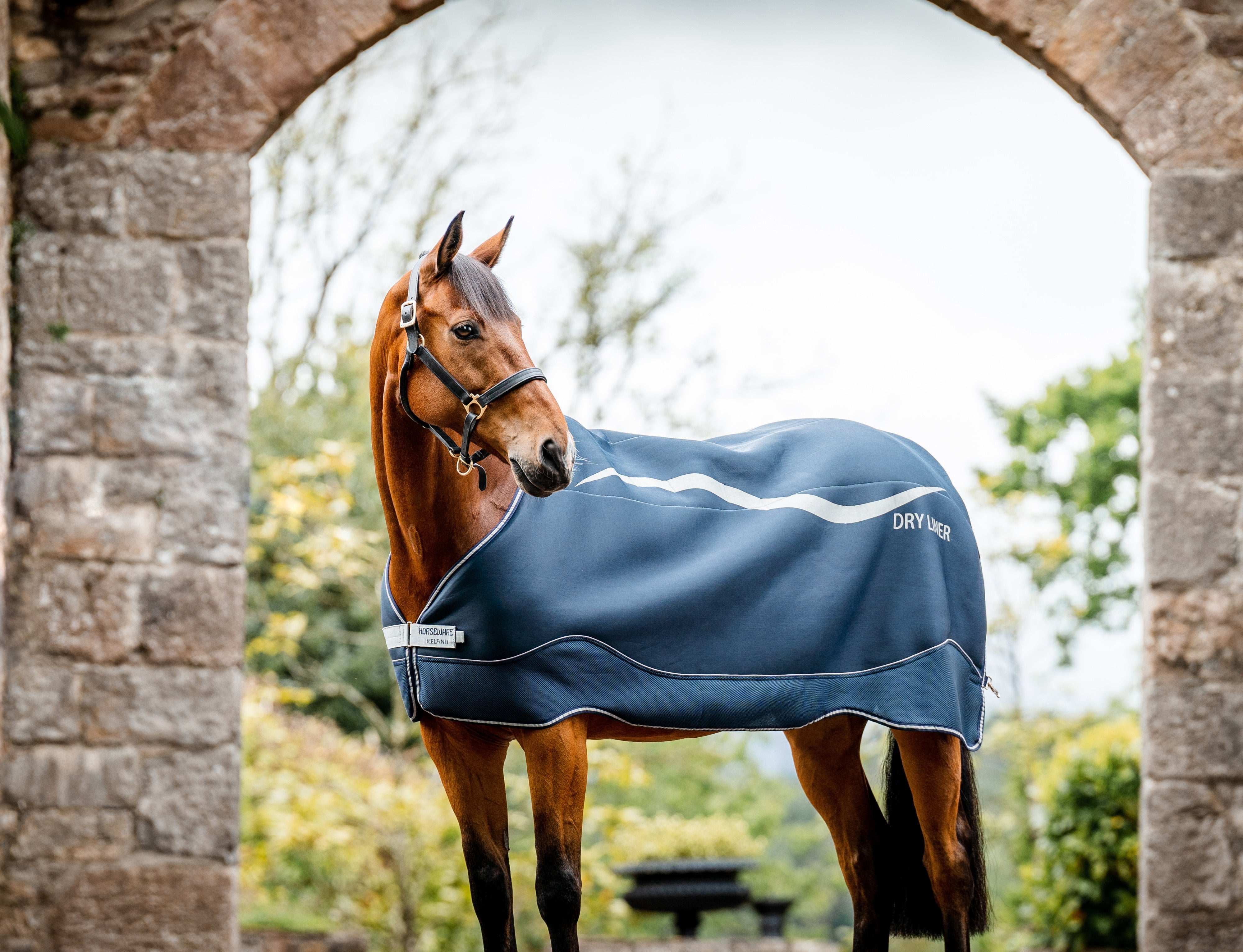 Alle Ins und Outs über den Horseware Dry Liner!